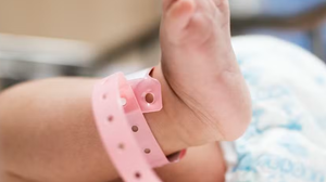 Foto: Reprodução/Freepik