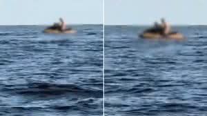 Casal é flagrado fazendo sexo em moto aquática em praia - Reprodução / X