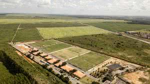 CT Ninho do Galo - Crédito: Pedro Souza / Atlético