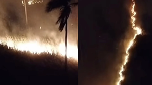 Não há informações se o incêndio foi proposital ou acidental. - Foto: Reprodução