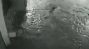 Criança é resgatada após cair bueiro durante enxurrada em Fortaleza - Reprodução / TV Globo