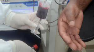 Quer doar sangue durante o Carnaval? Veja os horários de funcionamento do Hemoal - Olival Santos / Ascom Sesau