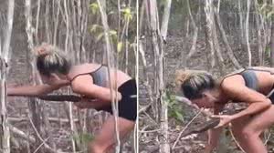 Homem multado em R$ 20 mil por matar onça diz que não sabe como vai pagar - Reprodução