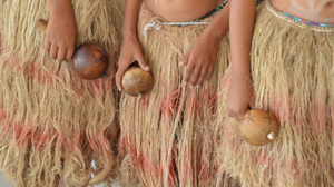 Para enfrentar os casos de violência nas aldeias indígenas alagoanas e prestar assistência às vítimas, a Sesau desenvolve o Mate Masie - Foto: Ascom Sesau