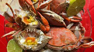 Imagem Viagem saborosa por Marechal Deodoro