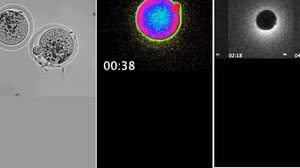 Foto: Reprodução/Redes Sociais