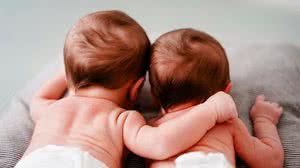 Foto: Reprodução/Pexels