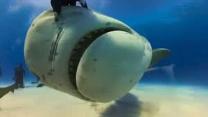 Foto: Reprodução/Redes Sociais