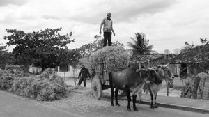 Imagens revelam práticas ancestrais da população da região - Fotos: Paulo Marcondes/ iNTERiORes