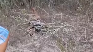 O corpo da mulher foi encontrado por populares - Foto: Reprodução