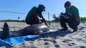 Divulgação / Biota