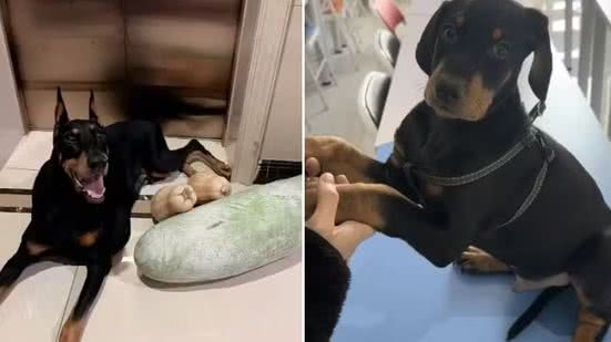 Joker (à esquerda) e a sua versão clonada - Reprodução/Redes Sociais