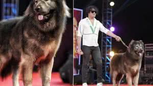 Reprodução/Youtube