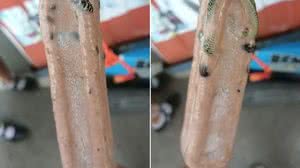 Reprodução/Redes sociais