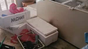 Imagem Enteado confessa que matou padrasto e colocou corpo esquartejado no freezer