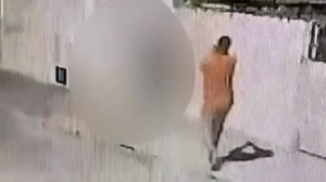 Reprodução / Polícia Civil