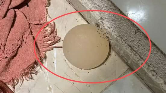 Foto: Reprodução/PMDF