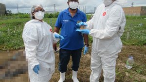 IML identifica ossada carbonizada encontrada em canavial no agreste Alagoano - Ascom Polícia Científica