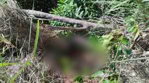 Reprodução/TV Pajuçara