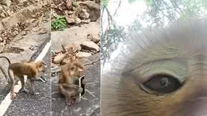 Reprodução/Redes sociais