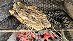 Imagem Onde encontrar peixe na brasa?