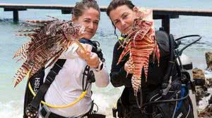 Foto: Reprodução/Turtle and Ray Productions