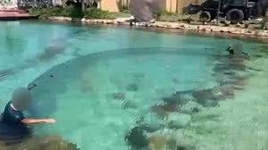 'Resort' do crime, do traficante Peixão, é demolido no Rio de Janeiro - Reprodução