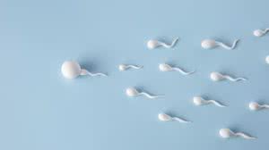 Foto: Reprodução/Freepik