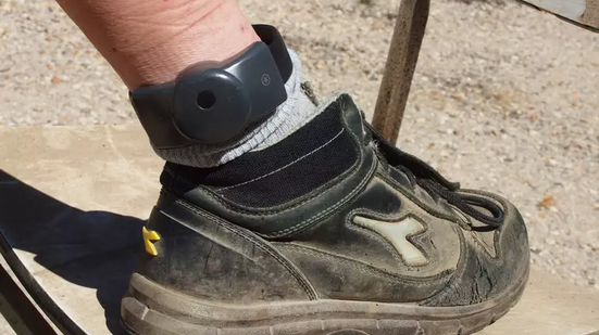 Objetivo era criar a ilusão de que ele estava cumprindo pena - Foto: François GOGLINS / Wikimedia Commons