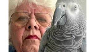 Foto: Arquivo pessoal/Maria Fraterrigo