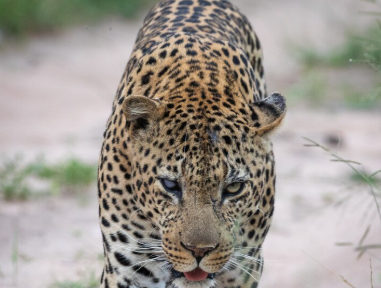 Foto: Ilustrativa/Freepik