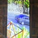 Reprodução/TV Pajuçara