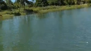 Homem aproveitava o dia de lazer nessa segunda-feira (21), feriado de Tiradentes, quando pulou de um catamarã - Foto: Reprodução