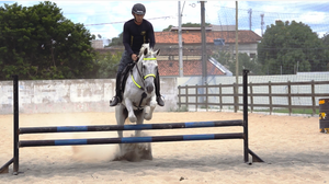 Imagem Arapiraca sedia II Etapa do Campeonato Alagoano de Hipismo