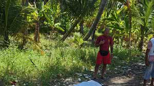 Divulgação/Bombeiros