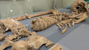 Foto: Universidade de York