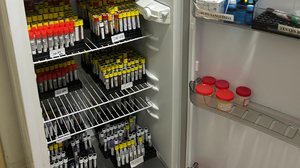 Foto: Divulgação/VISA MACEIÓ