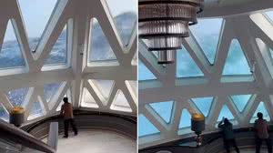 Foto: Reprodução/Redes Sociais