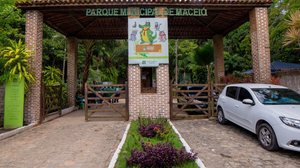 Imagem Risco de enxame de abelhas fecha Parque Municipal por tempo indeterminado