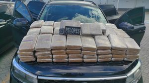 Polícia Militar apreende 121 quilos de drogas e 22 armas em uma semana - Ascom PMAL