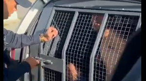 Prisão foi realizada pela Guarda Municipal de Maceió - Foto: Reprodução