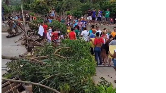 Foto: Cortesia ao TNH1