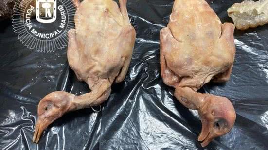 Foto: Reprodução/Polícia Municipal de Madrid