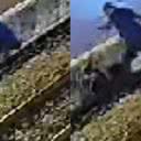 Imagem Homem que agrediu a ex com chutes, pisadas e a derrubou no trilho do trem é condenado a 4 anos de prisão