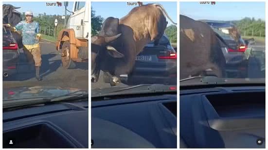Imagem Touro pula por cima de carro de luxo e quase esmaga criança; veja vídeo