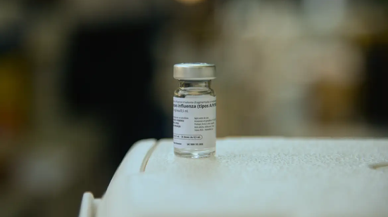 Mutações em vírus causadores da gripe aviária preocupam cientistas - Foto: Agência Brasil