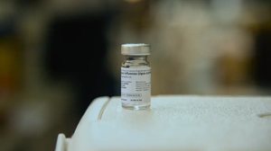 Mutações em vírus causadores da gripe aviária preocupam cientistas - Foto: Agência Brasil