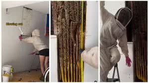 Imagem Vídeo: influenciadora descobre colmeia com 80 mil abelhas e retira 22kg de Mel