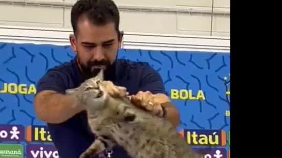 Corinthians contrata ex-assessor da CBF que tirou gato de coletiva na copa - Reprodução / X / Impedimento