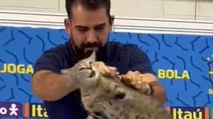 Corinthians contrata ex-assessor da CBF que tirou gato de coletiva na copa - Reprodução / X / Impedimento